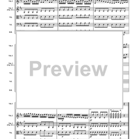 Allegro from Concerto in D Major - Score