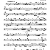 Potens In Terra - Euphonium 1