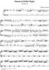 Sonata in B-flat major - K189/P257/L143