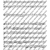 Concerto E minor in E minor - Set of Parts