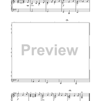 Die Moldau (from Ma Vlast)