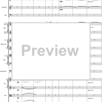 Symphony No. 3 in D Minor, "Wagner", WAB103 Movement 1 - Full Score