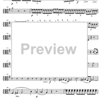 String Quintet G Major Op.33 - Viola 1