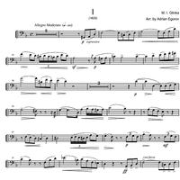 Sonata in D minor - Cello