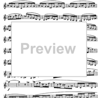 Preliminary studies to 'The Accomplished Clarinettist' Vol. 2 - Clarinet