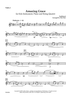 Amazing Grace - for Solo Instrument, Piano and String Quartet - Violin 1