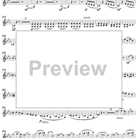 Piano Trio No. 3 in C Minor, Op. 1, No. 3 - Violin