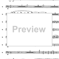 Messe solennele breve - Bassoons