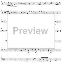 Cello Sonata No. 3 in A Minor, RV43 - Continuo