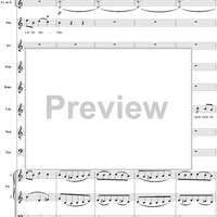 La Finta Giardiniera, Act 1, No. 12 "Himmel welch' selt'ner Zufall" (Finale, Septet) - Full Score