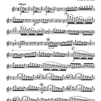 Allegro for Two Flutes - Flute 1