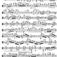 Sonata d minor - Viola