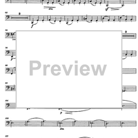 Divertimento Op.69 - Bassoon