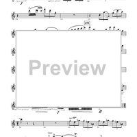 Harry Potter Symphonic Suite - Flute 2