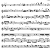 Sonata No.20 C Major KV303 - Violin