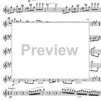 String Quintet C Major Op.29 - Violin 1