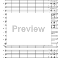 Argentinian Rhapsody - Full Score