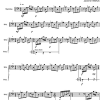 Jungle Heart - Marimba