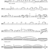 Liebesträume, Notturno No. 3 - Cello