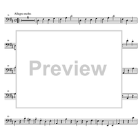 Divertimento No. 2 D Major KV131 - Double Bass