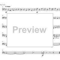 Argentinian Rhapsody - Bassoon