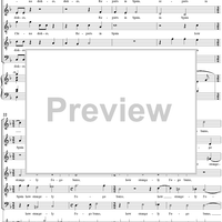 The Andalusian Merchant