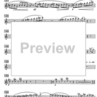 Shoshanna - B-flat Soprano Saxophone