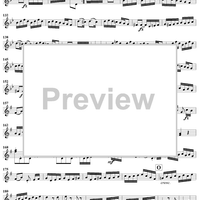 Piano Trio in G Major ("Gypsy Trio"), HobXV/25 - Violin