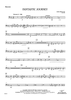 Fantastic Journey - Bassoon