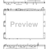 The Adventure Begins