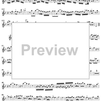 Sonata No. 3 in D Minor - Flute