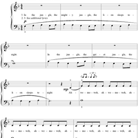 The Lion Sleeps Tonight