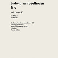 Trio on op. 87