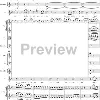 "Misero me!", recitative and "Misero pargoletto", aria, K73e (K77) - Full Score