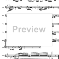 Jungle Heart - Marimba