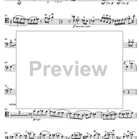 Contrabbasso concertante - Double Bass