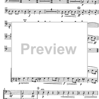 Concertino giocoso Op. 12 - Double Bass