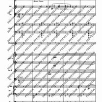 Il Vitalino raddoppiato - Full Score