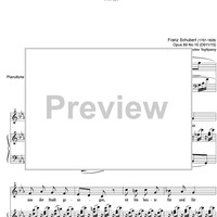 Die Krähe Op.89 No.15 D911