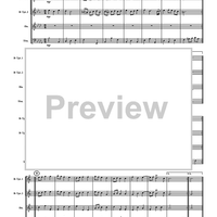 Royal Fireworks Suite - Score