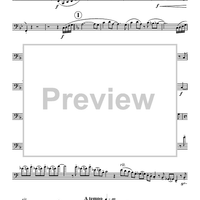 Concerto for Bass Trombone - Bass Trombone