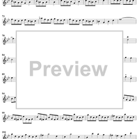 Sonata No. 25 in G Minor - Flute