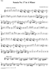 Sonata No. 17 in A Minor - Flute