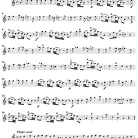 Sonata No. 17 in A Minor - Flute
