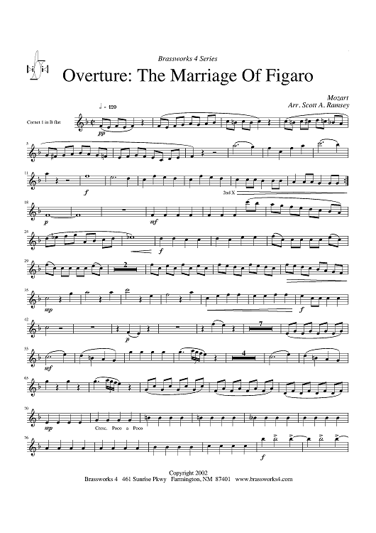 Amadeus cornet deals