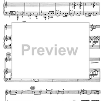 Horn Concerto - Score