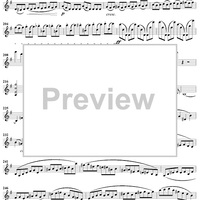 Violin Concerto in E Minor - Violin