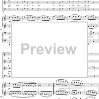 Finstere Schatten der Nacht - No. 2 from "Neue Liebeslieder" - Op. 65