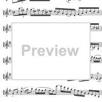 Capriccio No.23 e minor