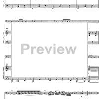 Suite andaluza - Score